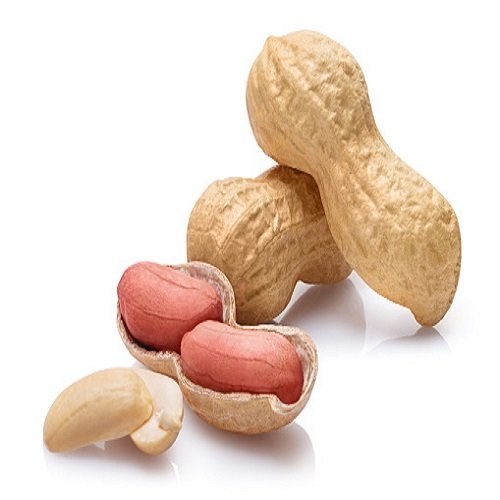 Peanut - Image 2