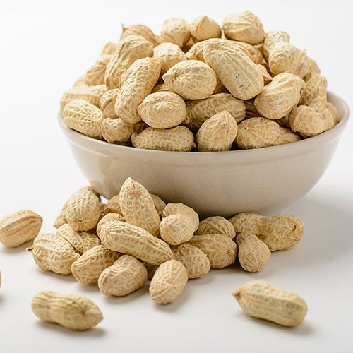 Ground nut