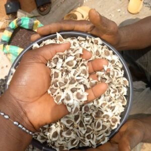 Moringa Seeds