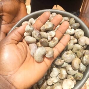 Raw Cashew Nut